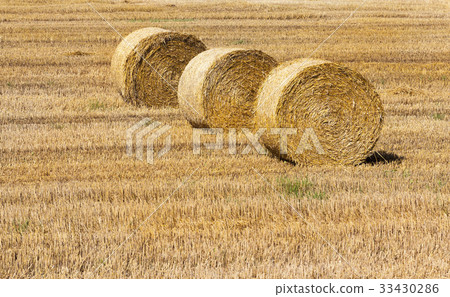 Hay and agriculture farm Hay and agriculture farm 33430286