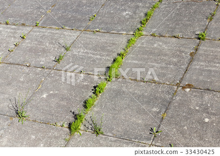 road for pedestrian t road for pedestrian t 33430425