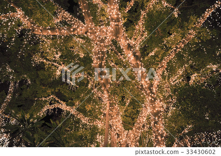 Beautiful tree covered in lights. 33430602
