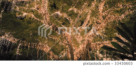 Beautiful tree covered in lights. 33430603