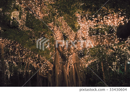 Beautiful tree covered in lights. 33430604