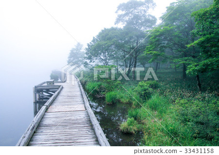 Wenchang district 33431158