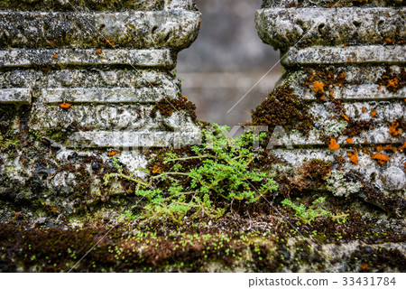 Ancient red brick wall with moss as a background Ancient red brick wall with moss as a background 33431784
