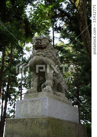 Hachimangu Shrine Shiba Inu (Takemizubetsu Shrine) 33432775