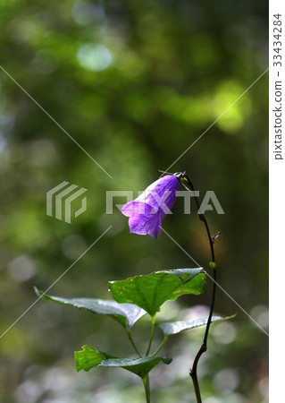 Geumgang Lantern 33434284