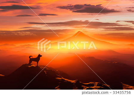 富士山日出和狗剪影 33435756