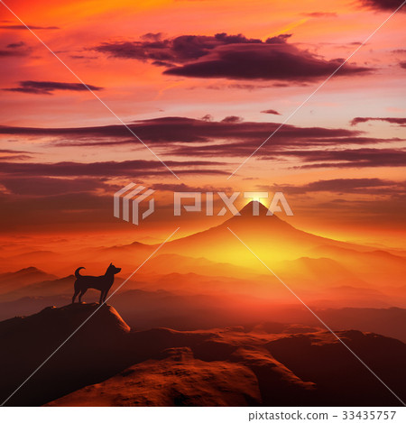 富士山日出和狗剪影 富士山日出和狗剪影 33435757