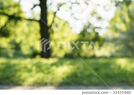 park blurred background in summer day park blurred background in summer day 33435980