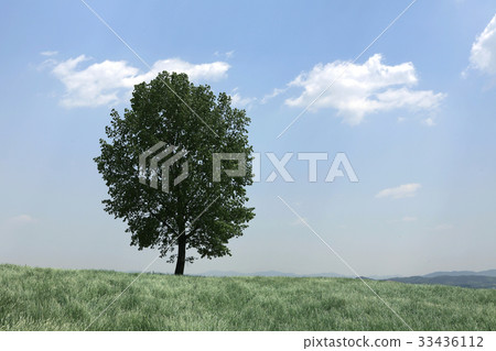 Anseong ranch, Anseong-si, Gyeonggi-do 33436112