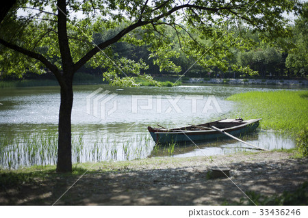 Seoul Forest, Seongdong-gu, Seoul 33436246