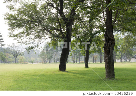 首爾鐘路區景福宮 33436259