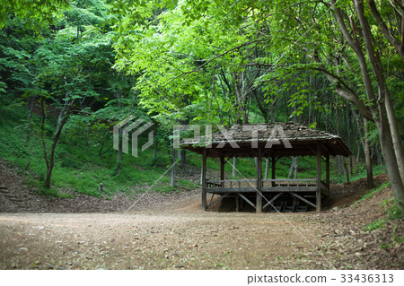 京畿道龍仁市龍仁民俗村 33436313