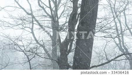 shot of snow falling in small town shot from 33436416