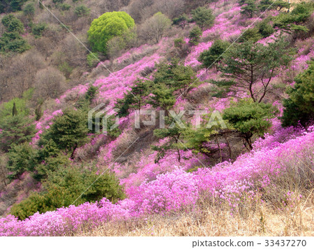 仁川江華郡Kooksan 33437270