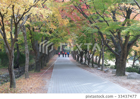 Busan, Jeongeup, Jeonbuk Busan, Jeongeup, Jeonbuk 33437477