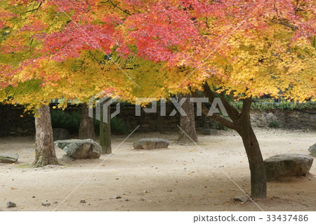 Jae-in company, Jeongeup-si, Jeonbuk 33437486