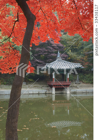 Autumn, Aryeongjeon, Biwon, Changdeokgung, Jongno-gu, Seoul Autumn, Aryeongjeon, Biwon, Changdeokgung, Jongno-gu, Seoul 33438117