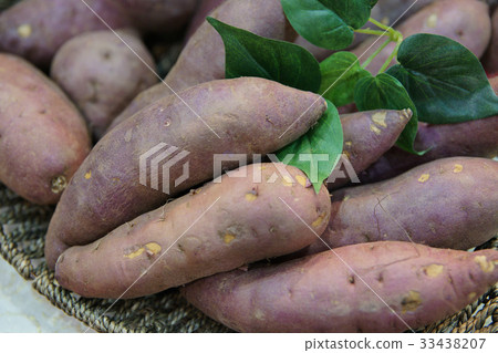 sweet potato 33438207