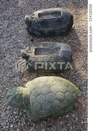 Turtle, Three Jungdong Museum of Art, Yongin City, Gyeonggi-do 33438509