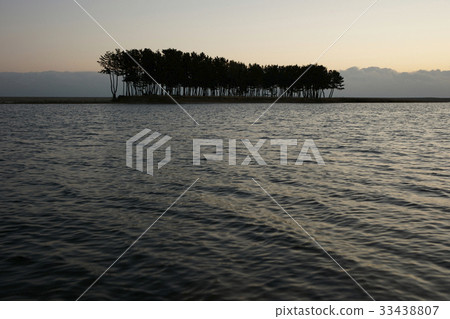 Pine，Hosan，Samcheok-gun，江原道 33438807