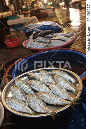 魚市,魚市,馬山市,慶南 魚市,魚市,馬山市,慶南 33439917