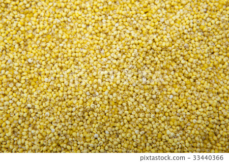 millet millet 33440366