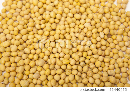 各個階段 33440453