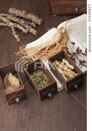 石榴，砧木，益母草，鼠尾草，人參，書 33440927