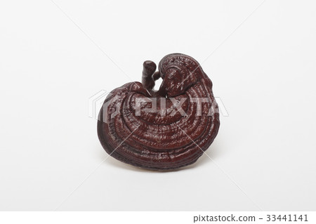 Gongji mushroom Gongji mushroom 33441141