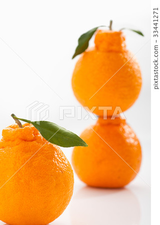 Hallabong Hallabong 33441271