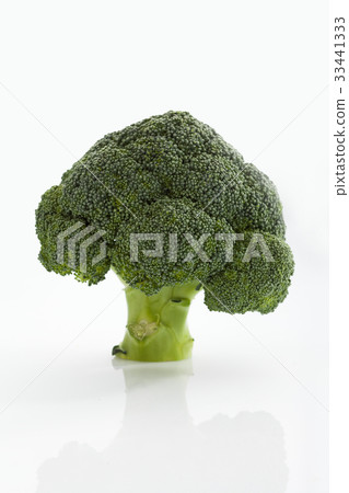 西蘭花 33441333