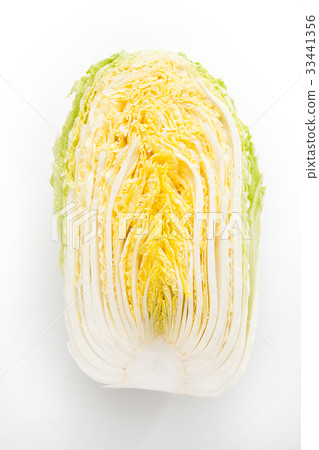 cabbage 33441356