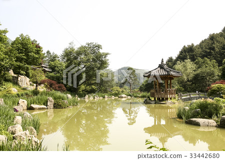Morning Calm Arboretum, Gapyeong-gun, Gyeonggi-do Morning Calm Arboretum, Gapyeong-gun, Gyeonggi-do 33442680