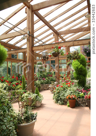 Morning Calm Arboretum, Gapyeong-gun, Gyeonggi-do Morning Calm Arboretum, Gapyeong-gun, Gyeonggi-do 33442683