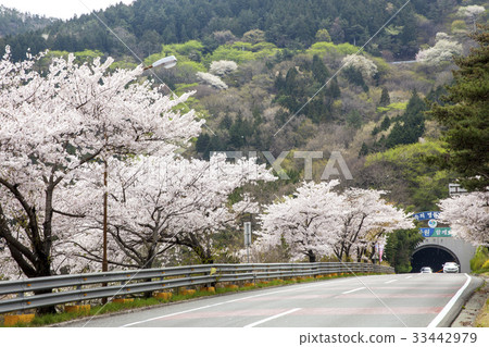 Margin Tunnel, "What ?, Jinhae Ward, Changwon City, Gyeongnam 33442979