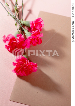 Flowers, Carnations, Envelopes 33443070