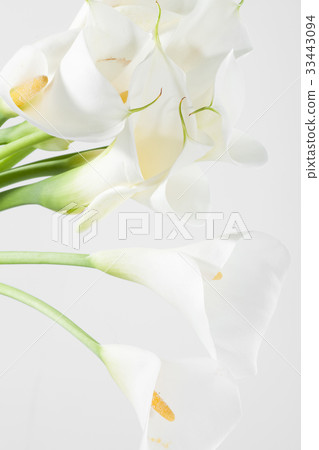 Flowers, Kara 33443094