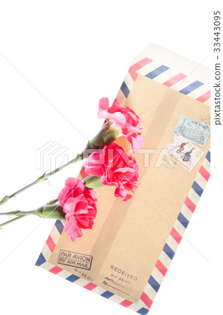 Flowers, Carnations, Envelopes 33443095