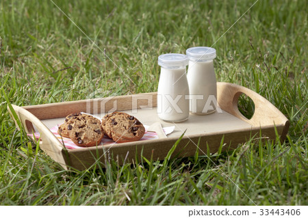 picnic 33443406