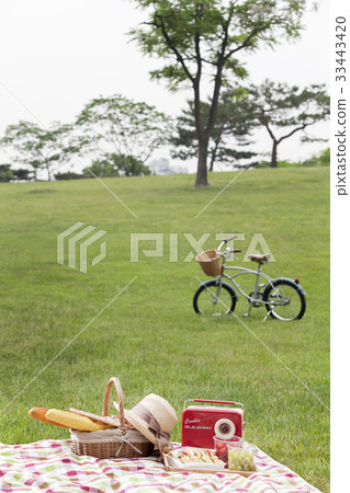 野餐 33443420