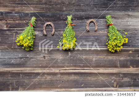 St. johns wort flowers bunch and rusty horseshoe 33443657