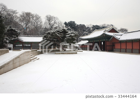 Snow, Winter, Changdeokgung, Changdeokgung, Jongno-gu, Seoul 33444164