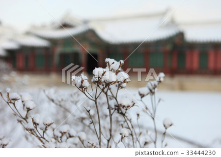 雪，冬天，神聖的花園，昌德宮，鐘路區，首爾 33444230