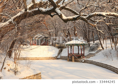 雪，冬天，視圖，昌德宮，鐘路區，首爾 33444245
