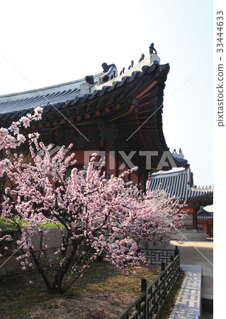 首爾鐘路區景福宮 33444633