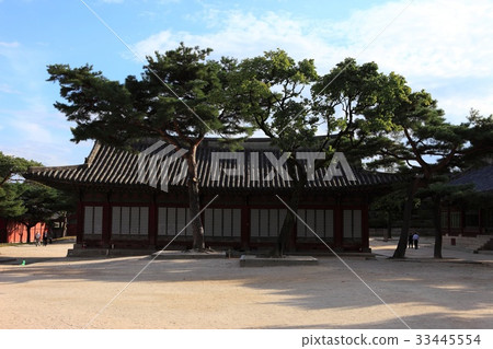 環境展，昌慶宮，首爾鐘路區 33445554