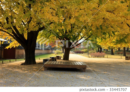 首爾鐘路區景福宮 33445707