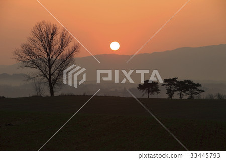 Anseong ranch, Anseong-si, Gyeonggi-do Anseong ranch, Anseong-si, Gyeonggi-do 33445793