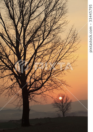 Anseong ranch, Anseong-si, Gyeonggi-do Anseong ranch, Anseong-si, Gyeonggi-do 33445795