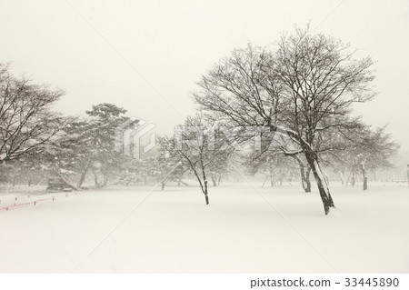 首爾鐘路區景福宮 33445890